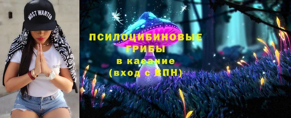 ПСИЛОЦИБИНОВЫЕ ГРИБЫ Навашино