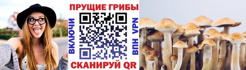 Галлюциногенные грибы прущие грибы  Озёры 