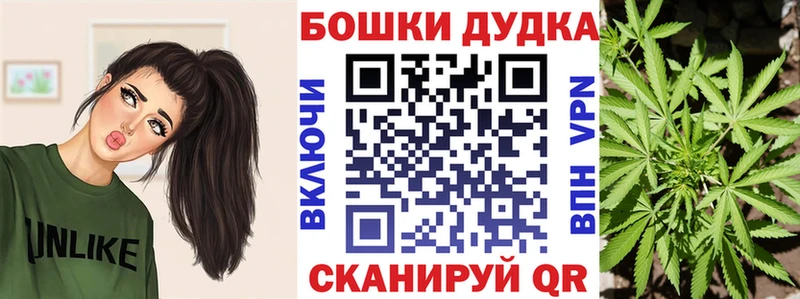 Каннабис ГИДРОПОН  магазин продажи   Озёры 